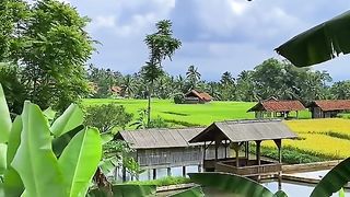 very beautiful rural natural atmosphere