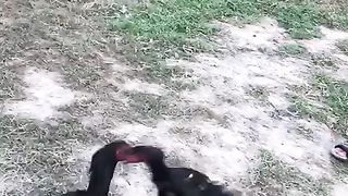 Intihae zulam kar rahay ho bhai