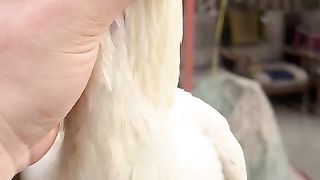 Look at the rooster ll lovely bird