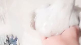 The white ll white aseel ll climate change