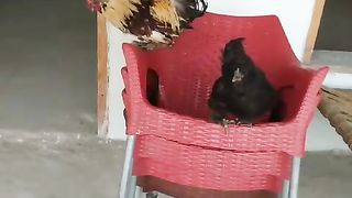 What are you doing in the chair