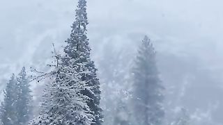 Yosemite valley looks absolutely gorgeous during this time of year