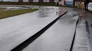 Amazing videos vol 61