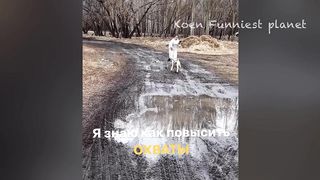 Funny Dogs And Cats Videos 2023 ???? - Best Funniest Animal Videos Of The Month #9 3