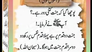 اسلامی معلومات Like share follow 193