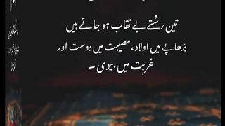 اسلامی معلومات Like share follow 198