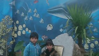 Belu fish ????
