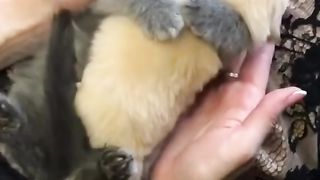 sooo cuteeeeeeeee