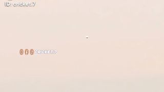 West indies win the 5th T20 match