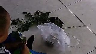 Aktivitas sekolah