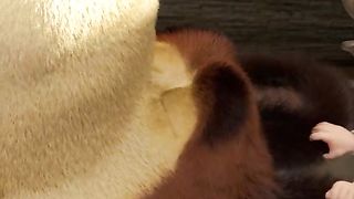 100 MLLIONS VIEWS