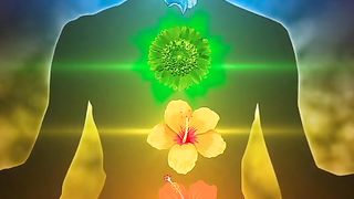 7 Chakra