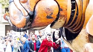 Amazing videos vol 69