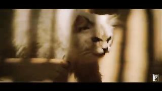 Mashallah_Song___Ek_Tha_Tiger___Salman_Khan,_Katrina_Kaif,_Shreya_Ghoshal,_Sajid-Wajid,_Kausar_Munir(360p).