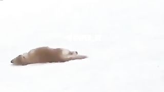 ???????????????? 128