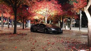 spustcar 2