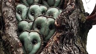 Amazing videos vol 72