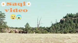 Saqi video 35