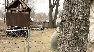 Las_Vegas_im_Garten