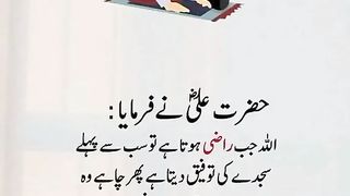 Mola Ali words