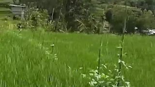 Perjalanan ke air terjun