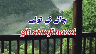 Learn Urdu to Italian,  Kitchen ware.