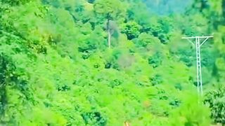 Green Beauty's of Kashmir