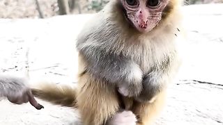 I'm sitting pretty, mom. I don't want to go