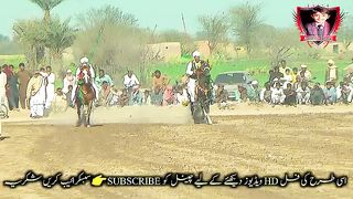 #febspot#foryou #foryoupage#horses#ridings#vedio70#ahmad#nasir#sports#fyb#fybpage