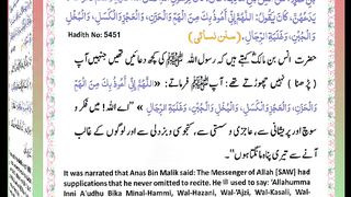 اسلامی معلومات Like share follow 207