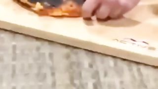 funny video of construction workers
