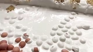 Magic eggs for stomach acid medicine