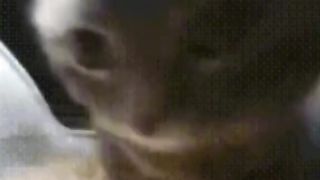 Chipi chipi chapa chapa dubi dubi daba daba