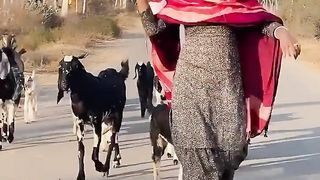 @poojapriyankaofficial786.