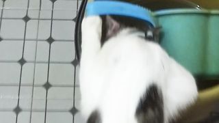 Nemo minum dikamar mandi
