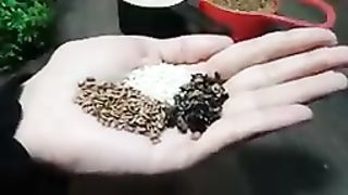 Natural Immunity Booster Recipe Remedy for back pain, joints pain, body power ♥️♥️♥️