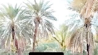 What a place 4