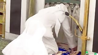 Bajut zabarfast