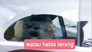 Noah band walau habis terang New