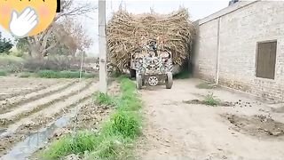 کیا ڈرائیور ہے یار