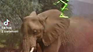 Funny dance 25