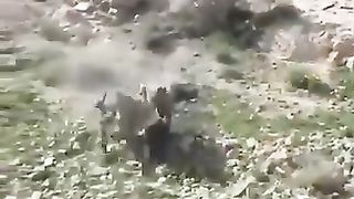 Gaday ki zindagi