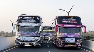 Amazing videos vol 77