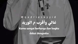 حبيبى