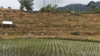 Pasawahan