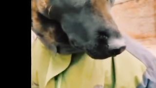 The beautiful dog met Mr. Ustad#fyp