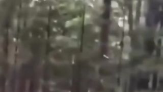 scary real footages found 5 encounters strange creatures