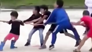 Anjing ikut lomba tarik tambang #Animal moments