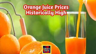 Orange juice prices historically high after crop producer slammed by weather and disease
