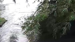 Sungai Kampar